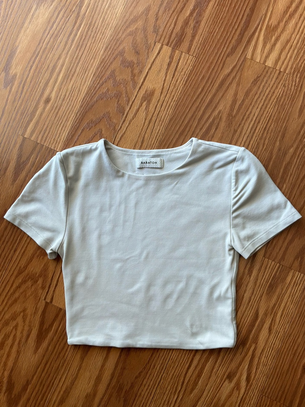 ARITZIA Babaton light gray crop top in XS